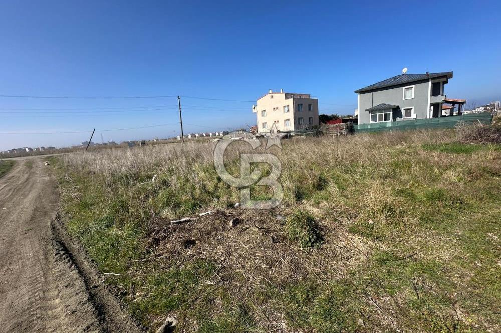 Lapseki Çardak'ta ACİL FIRSAT! Denize 250m İmarlı 335m² Arsa