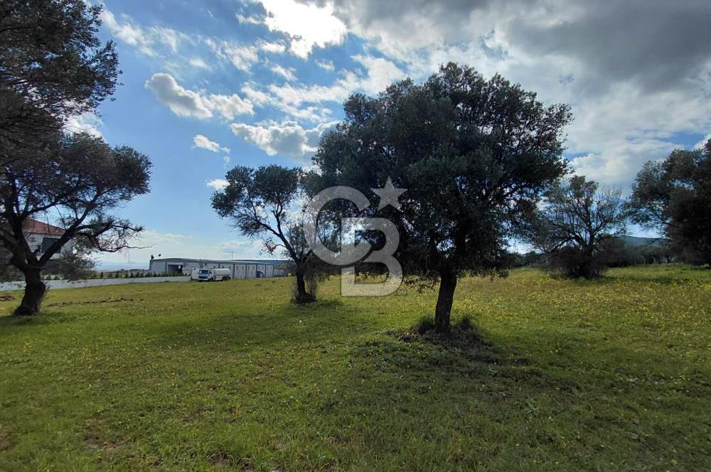 FOÇA’DA DENİZE YAKIN | YOLA CEPHELİ ÖZEL KONUM PARSEL