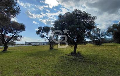 FOÇA’DA DENİZE YAKIN | YOLA CEPHELİ ÖZEL KONUM PARSEL