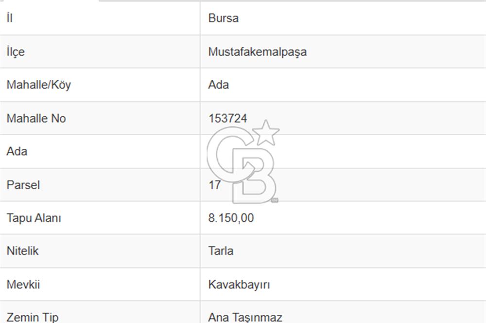 CB EAGLE'DAN BURSA MKP'DA, ADAKÖY MH.'DE SATILIK 8.150 M² TARLA