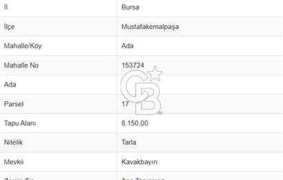 CB EAGLE'DAN BURSA MKP'DA, ADAKÖY MH.'DE SATILIK 8.150 M² TARLA