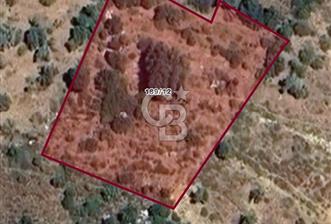 Datça Hızırşah Köyünde Satılık Badem ve Zeytinli Tarla - 8 - 337098