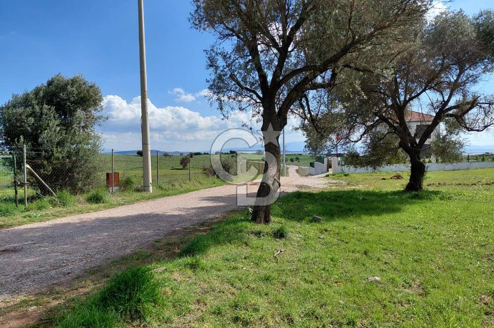 FOÇA’DA DENİZE YAKIN | YOLA CEPHELİ ÖZEL KONUM PARSEL