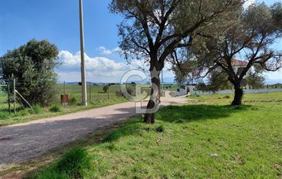 FOÇA’DA DENİZE YAKIN | YOLA CEPHELİ ÖZEL KONUM PARSEL