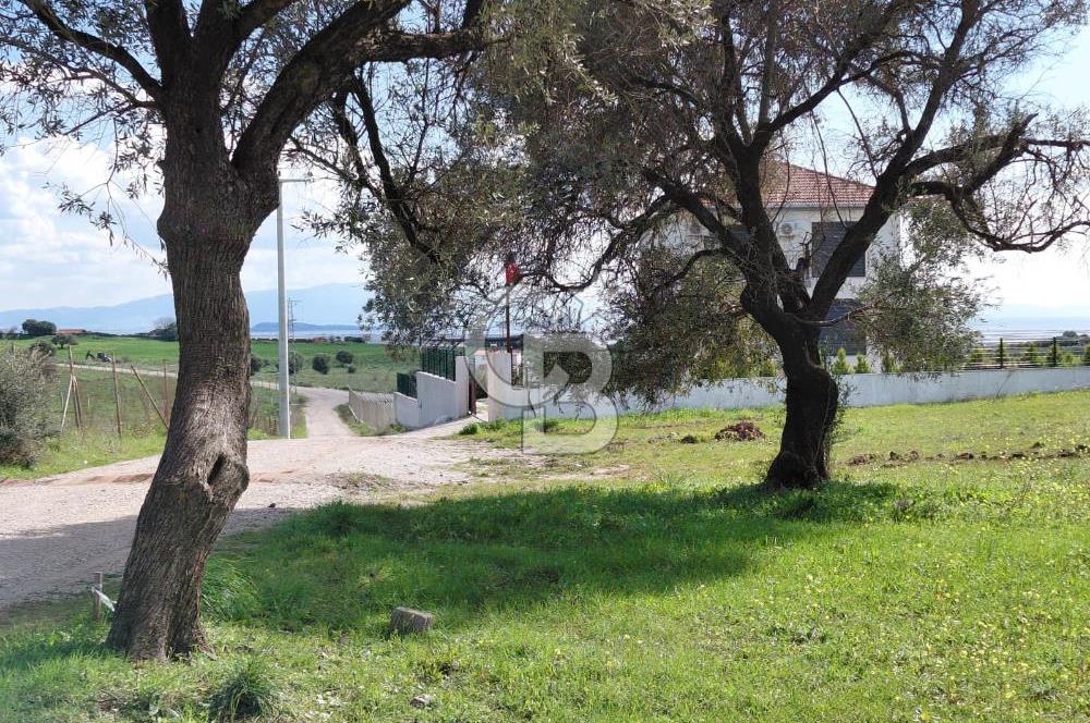 FOÇA’DA DENİZE YAKIN | YOLA CEPHELİ ÖZEL KONUM PARSEL