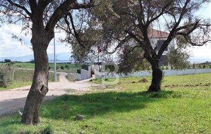 FOÇA’DA DENİZE YAKIN | YOLA CEPHELİ ÖZEL KONUM PARSEL