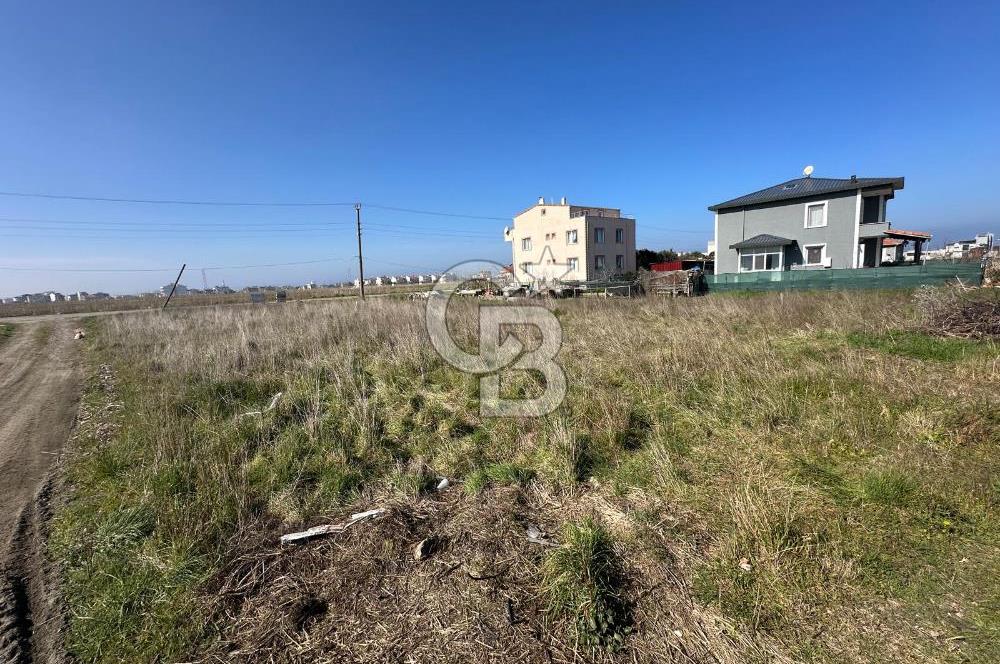 Lapseki Çardak'ta ACİL FIRSAT! Denize 250m İmarlı 335m² Arsa