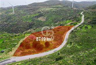 KARABURUN SARPINCIKTA SATILIK 8719 METRE KARE BAĞ - 10 - 337074