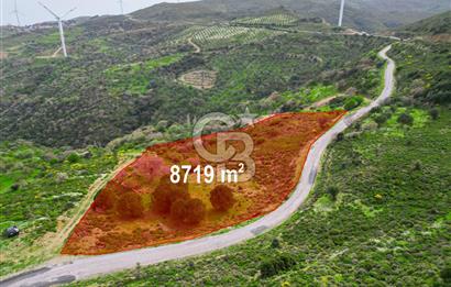 KARABURUN SARPINCIKTA SATILIK 8719 METRE KARE BAĞ