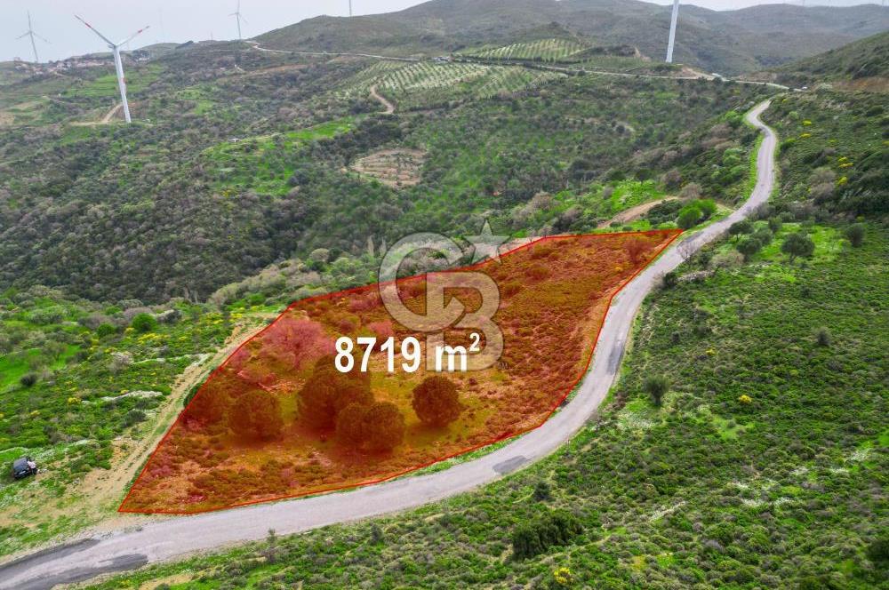 KARABURUN SARPINCIKTA SATILIK 8719 METRE KARE BAĞ