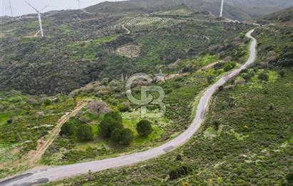 KARABURUN SARPINCIKTA SATILIK 8719 METRE KARE BAĞ