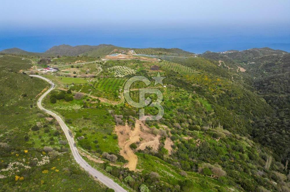 KARABURUN SARPINCIKTA SATILIK 8719 METRE KARE BAĞ