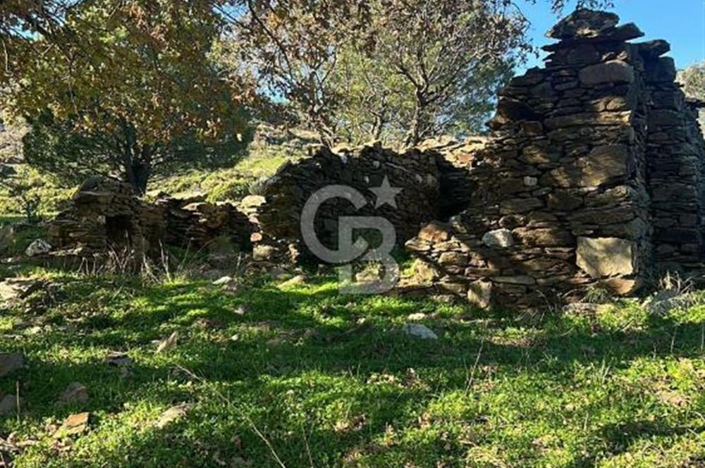 KARABURUN SARPINCIKTA SATILIK 8719 METRE KARE BAĞ