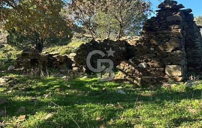 KARABURUN SARPINCIKTA SATILIK 8719 METRE KARE BAĞ