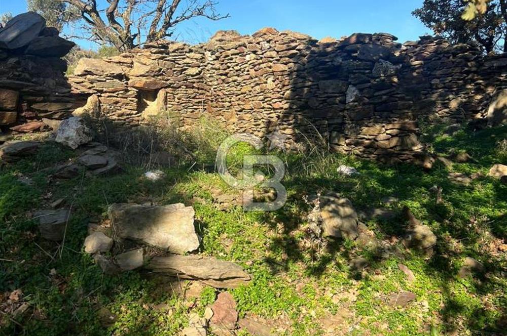 KARABURUN SARPINCIKTA SATILIK 8719 METRE KARE BAĞ