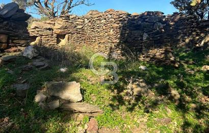 KARABURUN SARPINCIKTA SATILIK 8719 METRE KARE BAĞ