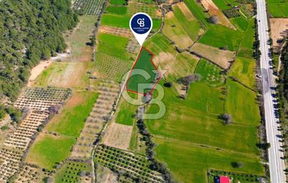 Muğla Menteşe Yaraş Mahallesi'nde Satılık Tarla