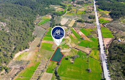 Muğla Menteşe Yaraş Mahallesi'nde Satılık Tarla