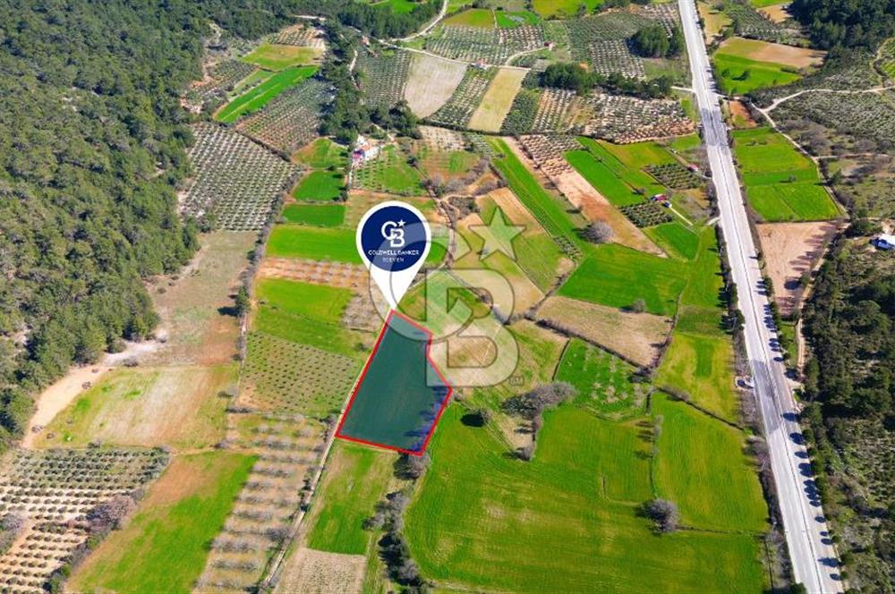 Muğla Menteşe Yaraş Mahallesi'nde Satılık Tarla