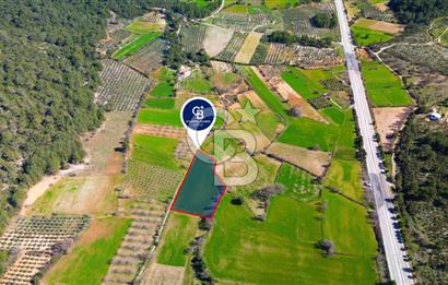 Muğla Menteşe Yaraş Mahallesi'nde Satılık Tarla