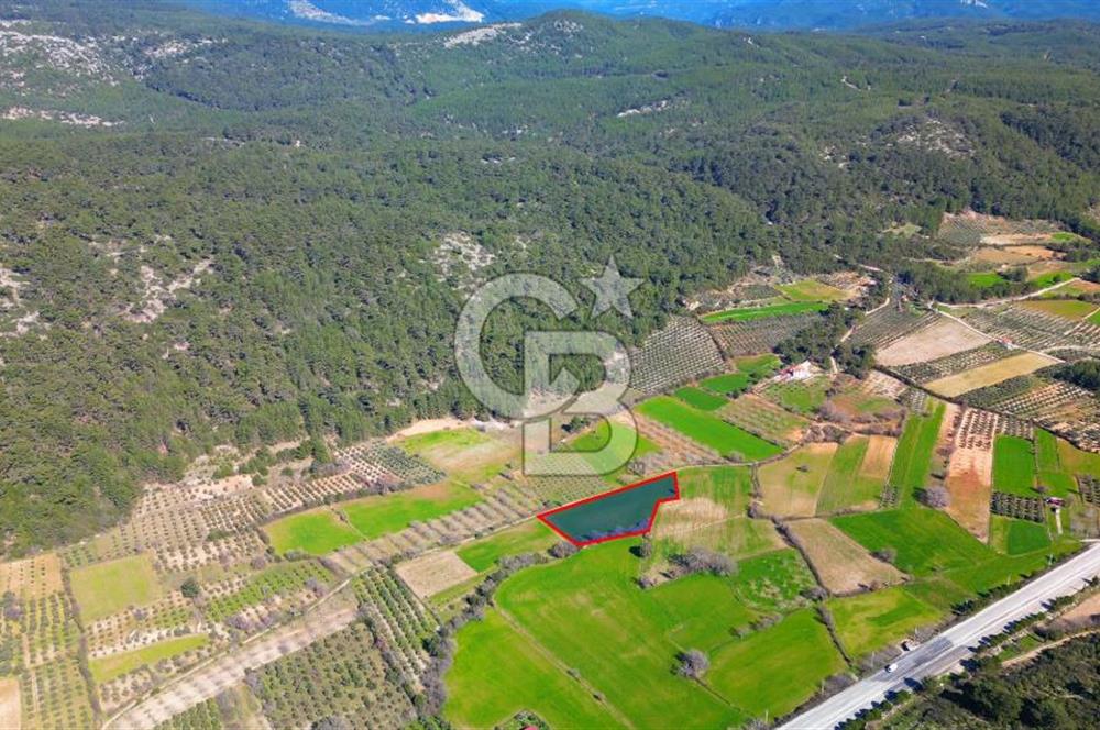 Muğla Menteşe Yaraş Mahallesi'nde Satılık Tarla