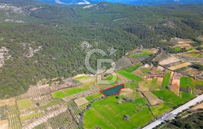 Muğla Menteşe Yaraş Mahallesi'nde Satılık Tarla