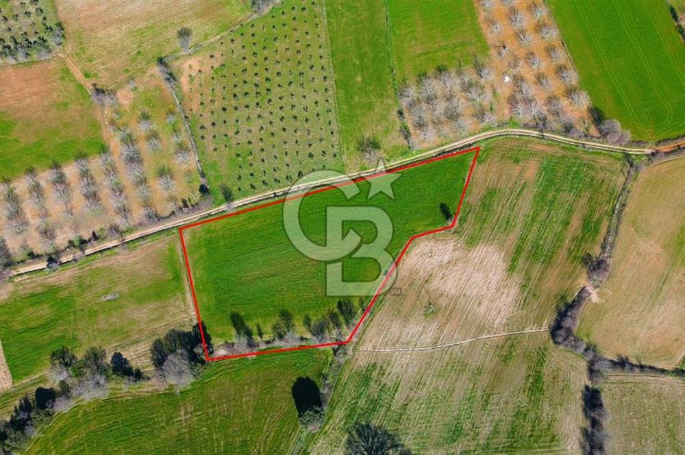 Muğla Menteşe Yaraş Mahallesi'nde Satılık Tarla