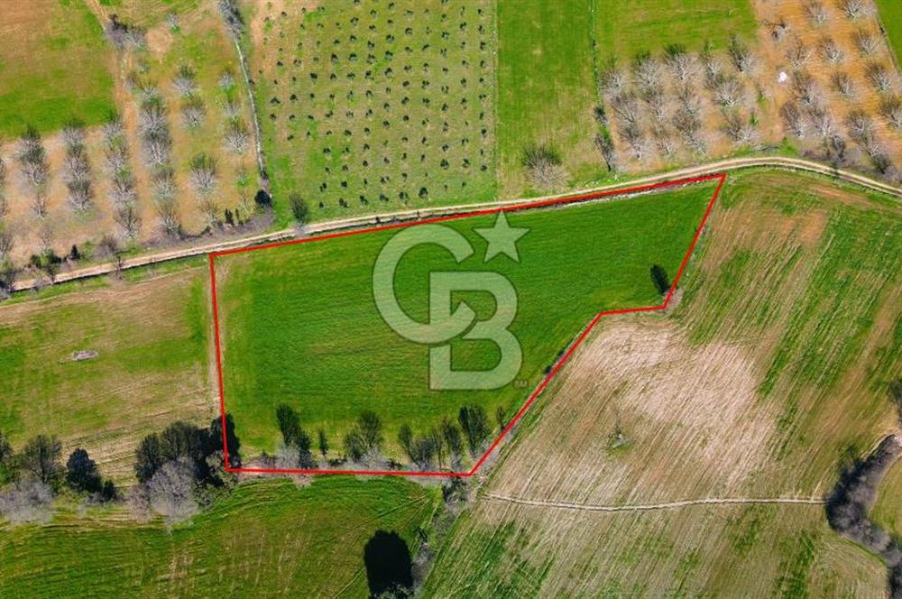 Muğla Menteşe Yaraş Mahallesi'nde Satılık Tarla