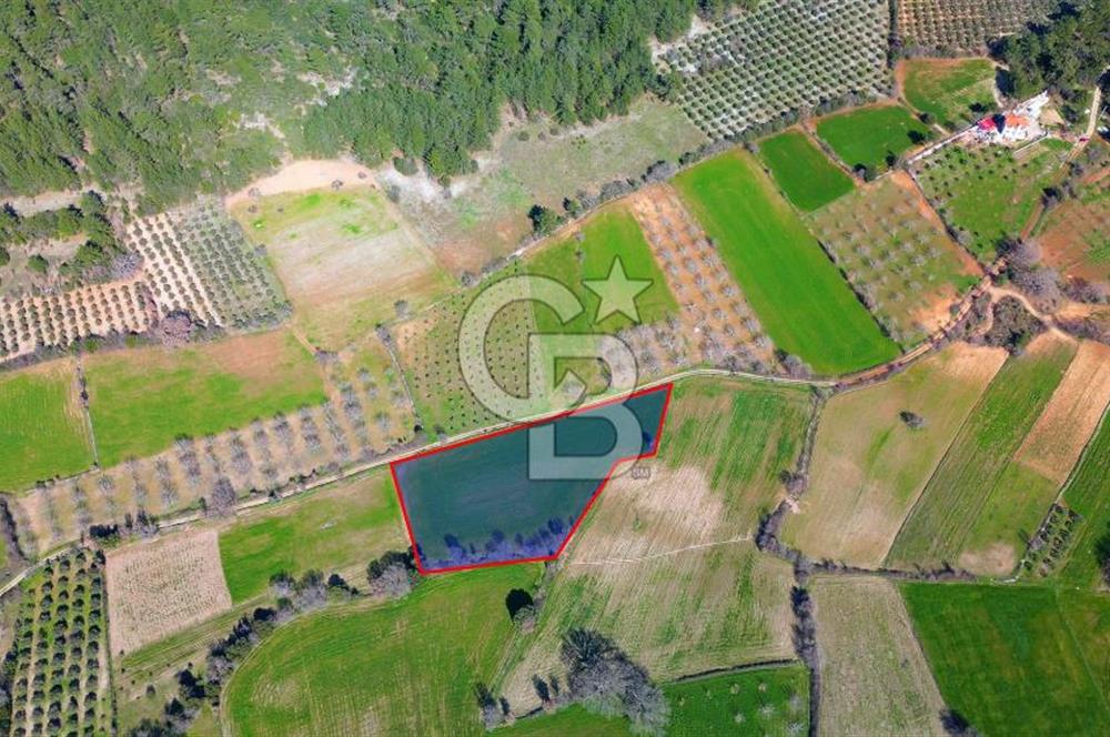 Muğla Menteşe Yaraş Mahallesi'nde Satılık Tarla