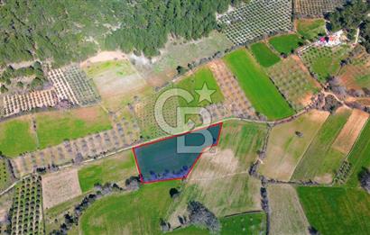 Muğla Menteşe Yaraş Mahallesi'nde Satılık Tarla