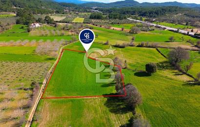 Muğla Menteşe Yaraş Mahallesi'nde Satılık Tarla