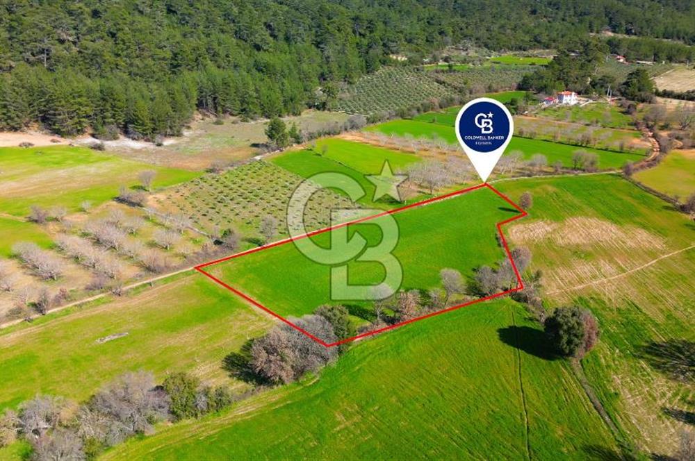 Muğla Menteşe Yaraş Mahallesi'nde Satılık Tarla
