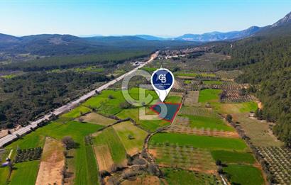 Muğla Menteşe Yaraş Mahallesi'nde Satılık Tarla