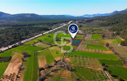 Muğla Menteşe Yaraş Mahallesi'nde Satılık Tarla