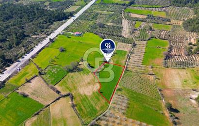 Muğla Menteşe Yaraş Mahallesi'nde Satılık Tarla
