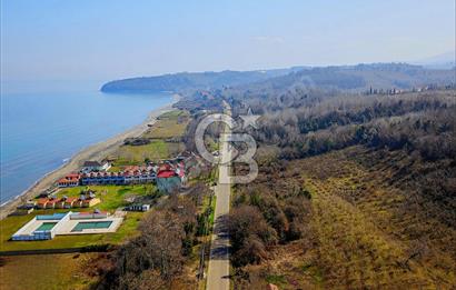 Yola Cephe, Denize 50 Metre Mesafe - TOKİ Projesine Komşu Arazi