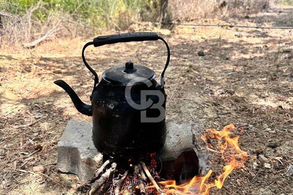 Evrenseki'de Güzel bir arsa