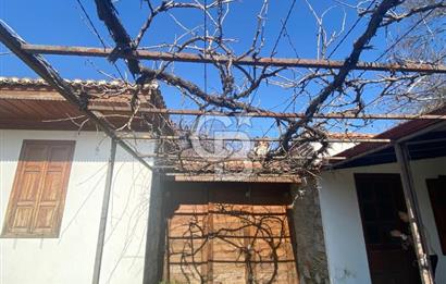 Muğla Karabağlar Yaylası'nda Müstakil 2+1 Kiralık Yayla Evi 