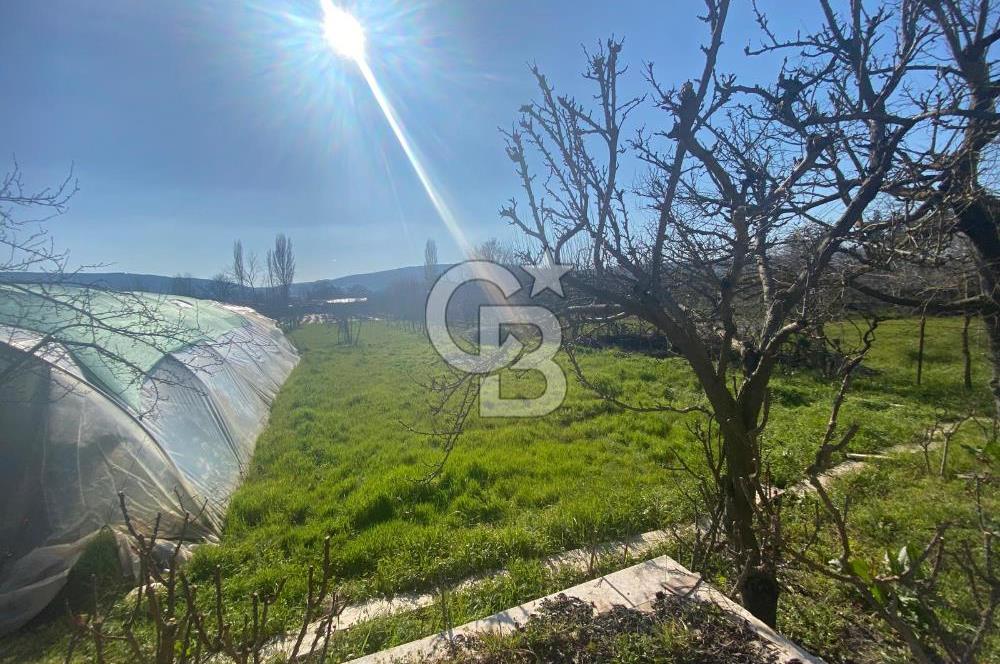 Muğla Karabağlar Yaylası'nda Müstakil 2+1 Kiralık Yayla Evi 