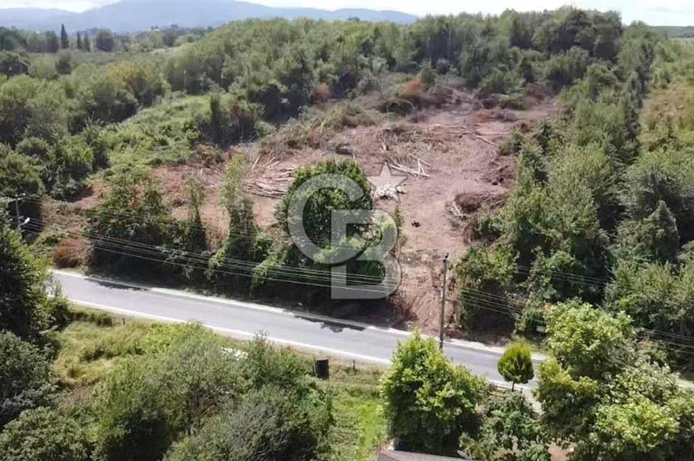 Yola Cephe, Denize 50 Metre Mesafe - TOKİ Projesine Komşu Arazi