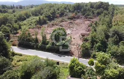 Yola Cephe, Denize 50 Metre Mesafe - TOKİ Projesine Komşu Arazi