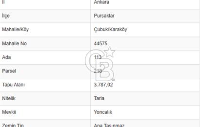 PURSAKLAR KARAKÖYDE 3.787 METREKARE TARLA