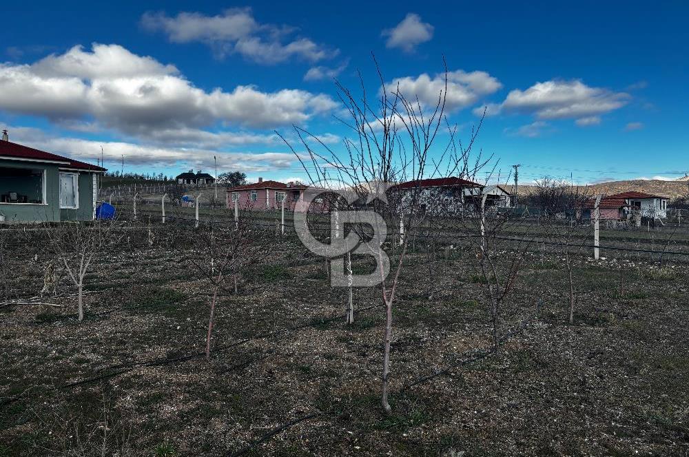 PURSAKLAR KARAKÖYDE 3.787 METREKARE TARLA