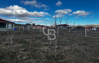 PURSAKLAR KARAKÖYDE 3.787 METREKARE TARLA