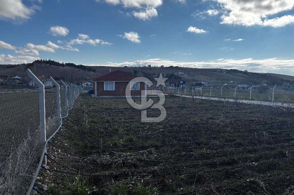 PURSAKLAR KARAKÖYDE 3.787 METREKARE TARLA