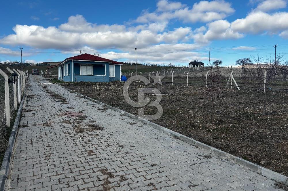 PURSAKLAR KARAKÖYDE 3.787 METREKARE TARLA