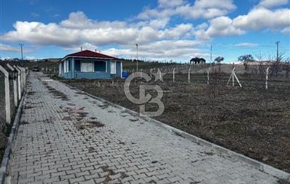 PURSAKLAR KARAKÖYDE 3.787 METREKARE TARLA