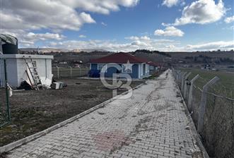 PURSAKLAR KARAKÖYDE 3.787 METREKARE TARLA - 1 - 337139