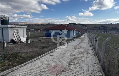 PURSAKLAR KARAKÖYDE 3.787 METREKARE TARLA