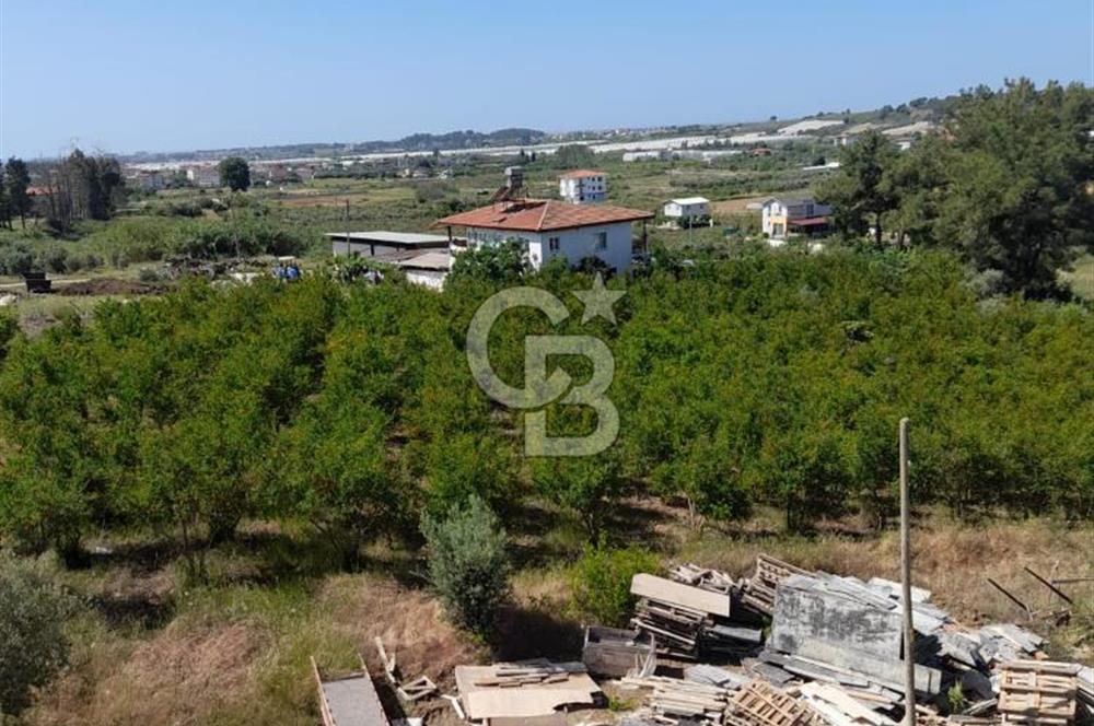 Evrenseki'de Güzel bir arsa